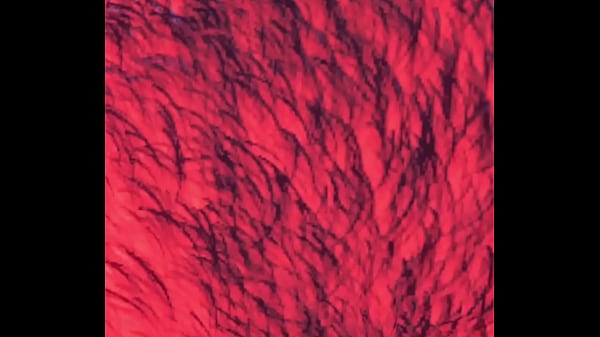 Nelly gets bang and gets multiple orgasms (honey select 2)