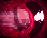 Tsum4 n1 Dam4tt3 – Sokuba1ka1! |60FPS 4K| [SOLO FEMALE VOICE] (ALL SEX SCENES) NTR!