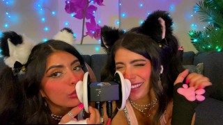 ASMR TWO Cats Flirt and Lick Your Ears with Eye Contact layered  sounds – CorneliustheCat ASMR