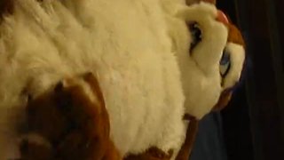 A Cabbit showing off and playing with himself