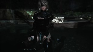 Skyrim Chaurus and 2b