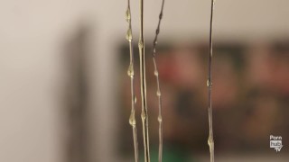 The Pleasure Principle Art Exhibit – a Walkthrough with Asa Akira